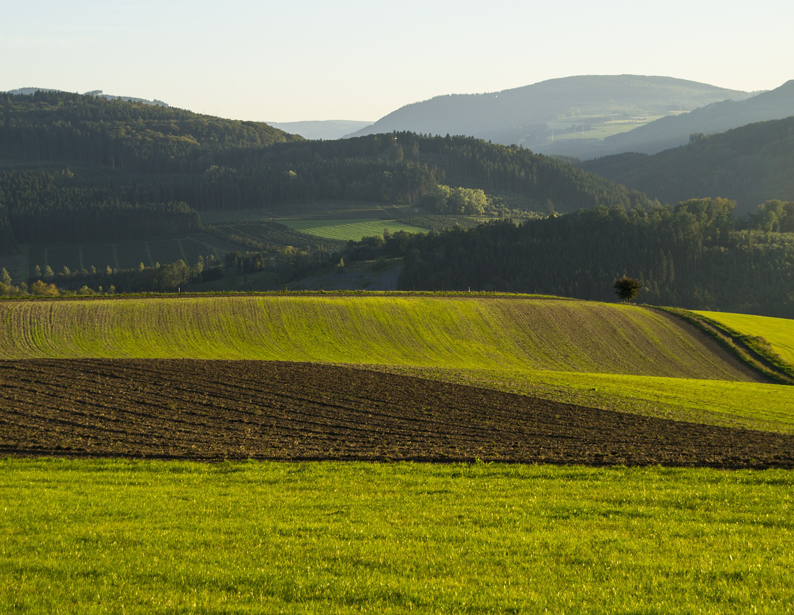 KQ Agricultural Land Classification and Gradation