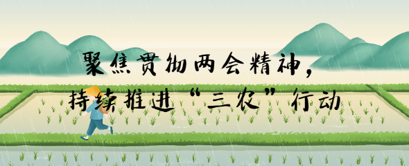 聚焦貫徹兩會精神，持續(xù)推進“三農”行動